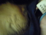 Pic0906023