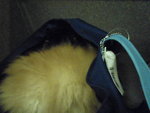 Pic0906025