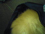 Pic0906026
