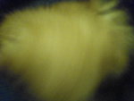 Pic0906027