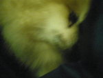 Pic0906028