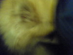 Pic0906029