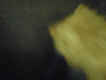 Pic0906030