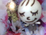 Pic0907002