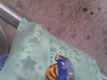 Pic0908007
