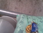 Pic0908008