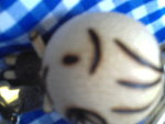 Pic0908011