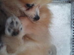 Pic0908012