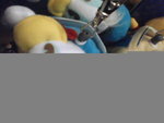 Pic0911001