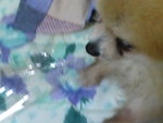 Pic0912003