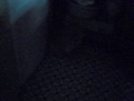 Pic0913002