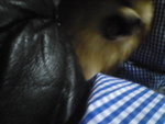 Pic0913015