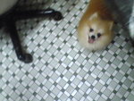 Pic0913025