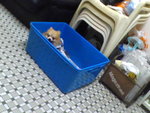 Pic0913031