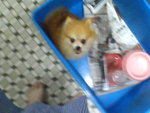 Pic0913036