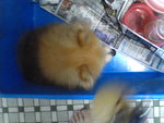Pic0913037