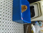 Pic0913040