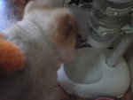 Pic0914017