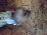 Pic0914018