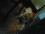 Pic0914020