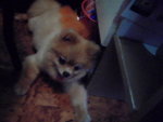 Pic0914021