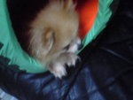 Pic0914048