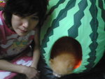 Pic0914049