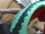 Pic0914050