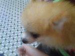 Pic0914051