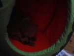 Pic0914092