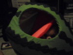 Pic0916040