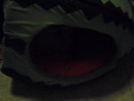 Pic0916042