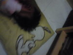Pic0920051