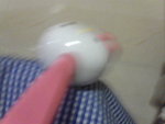 Pic0920074
