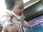 Pic0921003