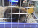 Pic0922005