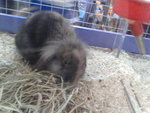 Pic0922006