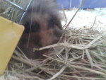 Pic0922007