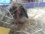 Pic0922008