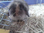 Pic0922009