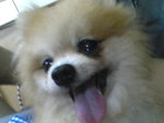 Pic0922029
