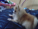 Pic0922039
