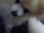 Pic0922040