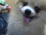 Pic0922042