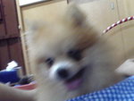 Pic0922043