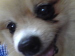 Pic0922047