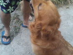 Pic0924004