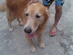 Pic0924005