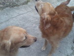 Pic0924006