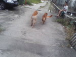 Pic0924007